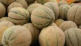The smile of a rock melon 